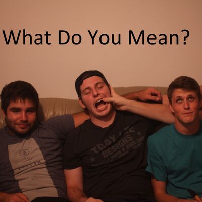 What Do You Mean?