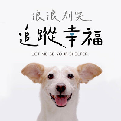 浪浪別哭 追蹤幸福