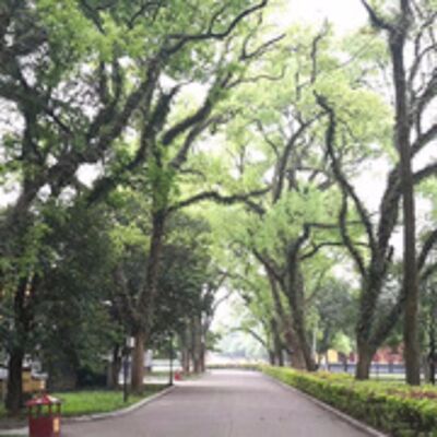 法律硕士中国法制史