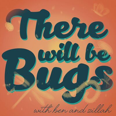 There Will Be Bugs