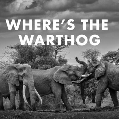 Where's the Warthog?