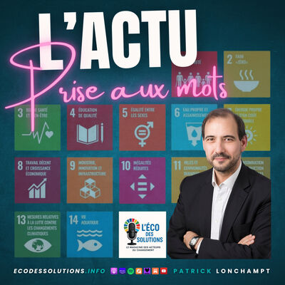 L'éco des solutions : L'actu prise aux mots.