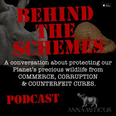 Behind the Schemes