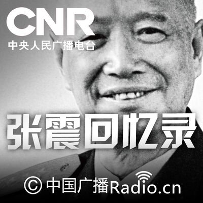 张震回忆录