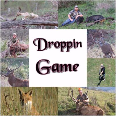 Droppin Game