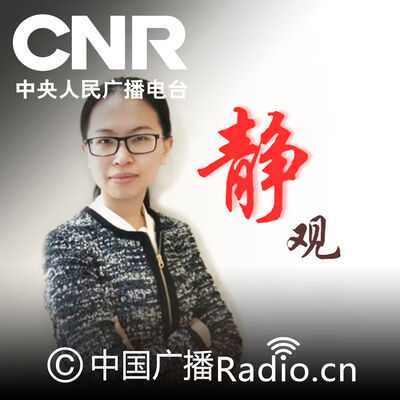 静观