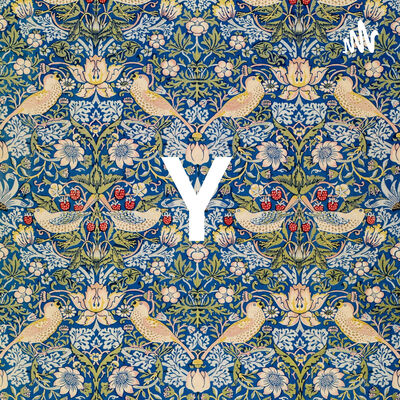 Y