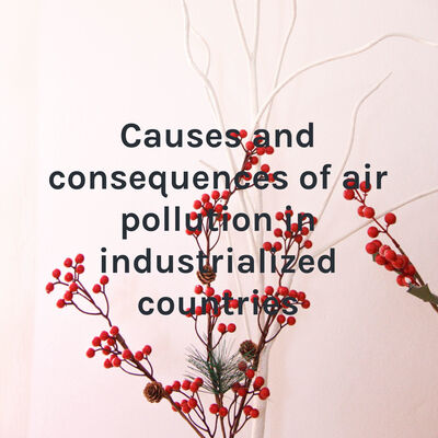 Causes and consequences of air pollution in industrialized countries