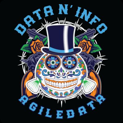 Agile Data N’ Info