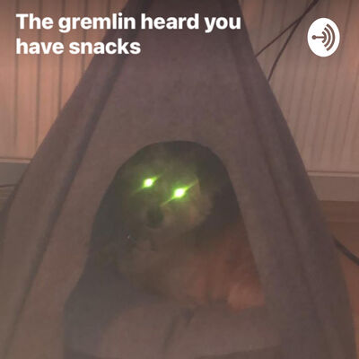 The Podcast +v+
