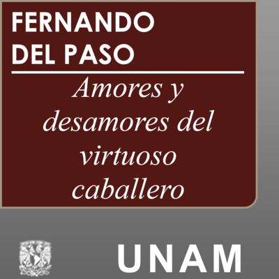 Amores y desamores del virtuoso caballero