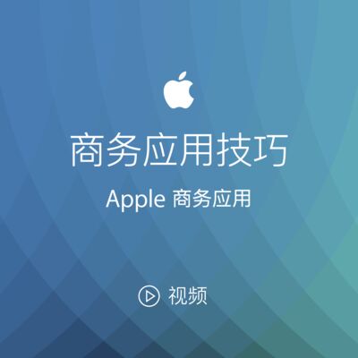 商务应用技巧