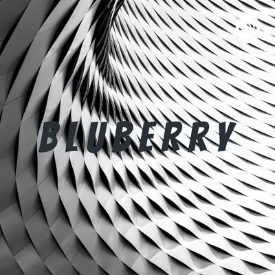 B L U B E R R Y