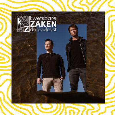 Kwetsbare Zaken