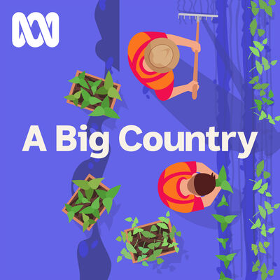 A Big Country