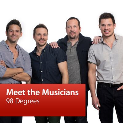 98 Degrees: Meet the Musicians