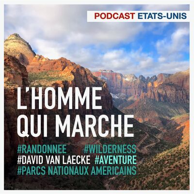 L'HOMME QUI MARCHE