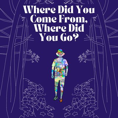 Where Did You Come From, Where Did You Go?