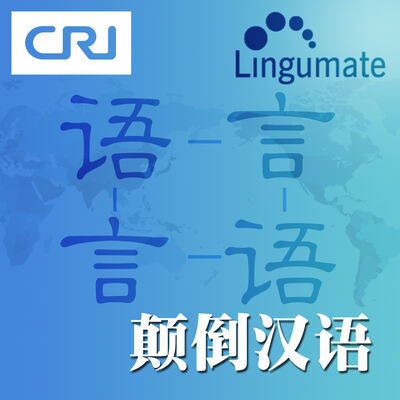 颠倒汉语