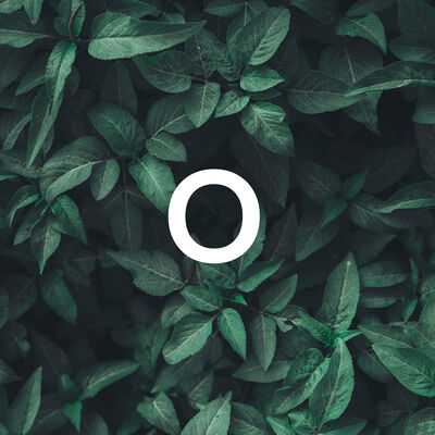 O