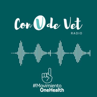 Con V de Vet Radio