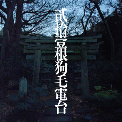 二十一根狗毛