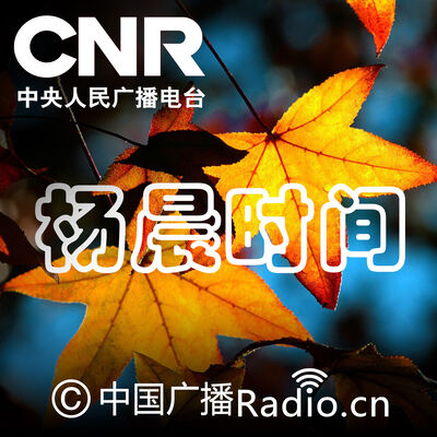 杨晨时间