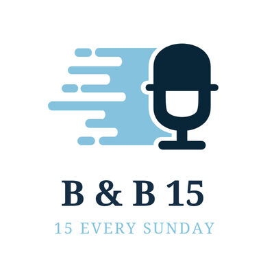The B & B 15