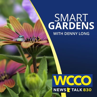 WCCO's Smart Gardens