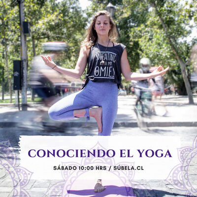 Conociendo el Yoga