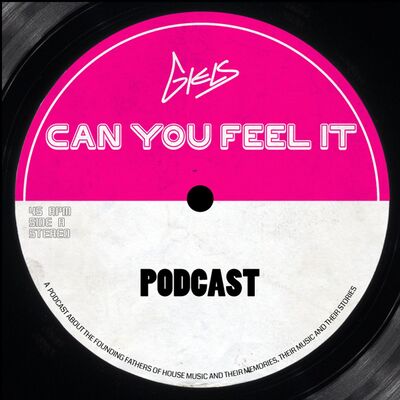 Can You Feel It - The Dutch History of House music