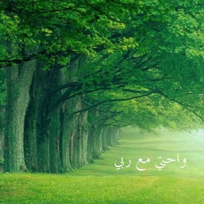 واحتي مع ربي