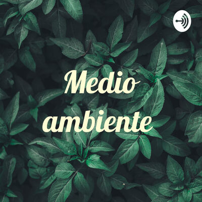 Medio ambiente