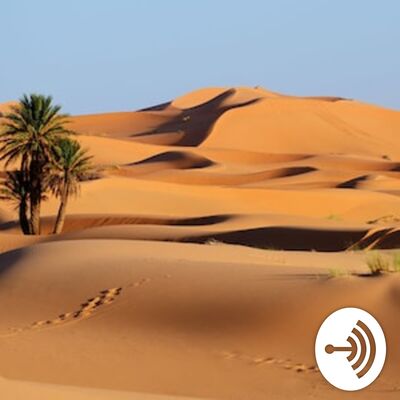 The Untitled Podcast