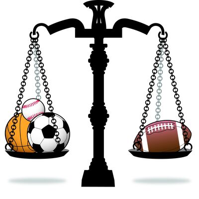 The Sports Law