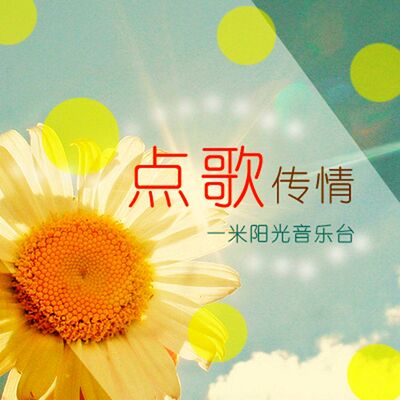 点歌传情