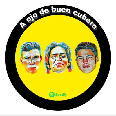 A ojo de buen cubero