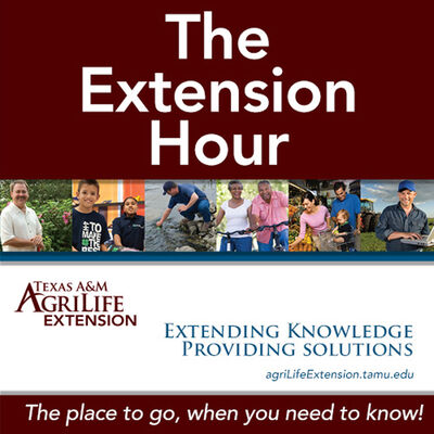Montgomery County Texas A&M Agrilife Extension