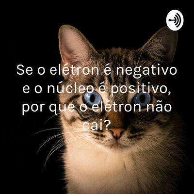 Se o elétron é negativo e o núcleo é positivo, por que o elétron não cai”?