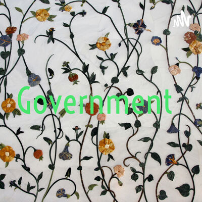 Government