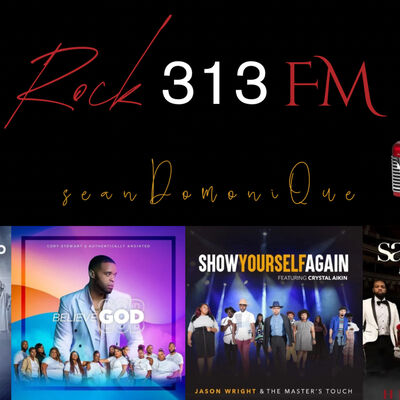 Rock 313 FM