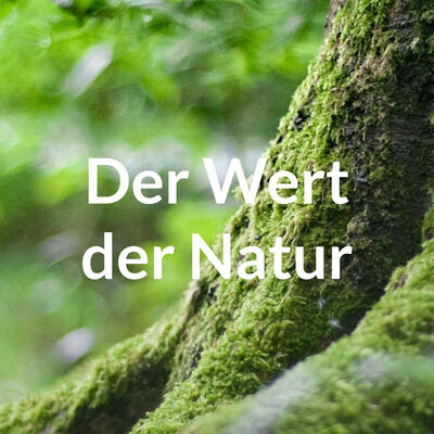 Q-Tutorium: Naturethik
