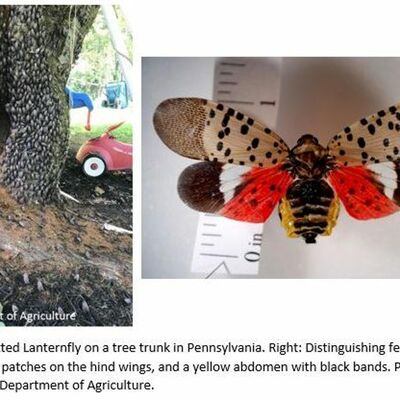 Snapshot - August 2018