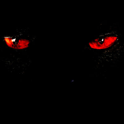 ปีศาจแมวดำ l เรื่องเล่า Creepypasta สยองขวัญ l Halloween Special