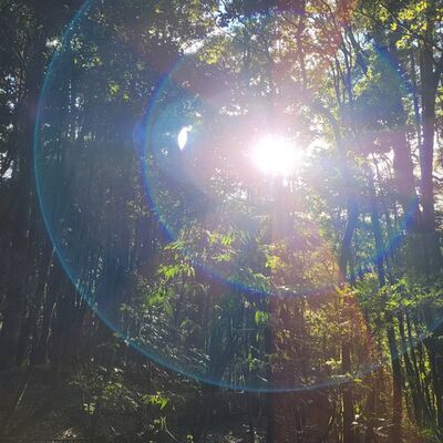 E15 聊聊｜關於年度回顧與來年展望