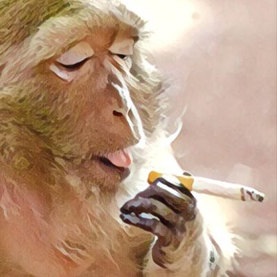 Orangutan Rehab - #110