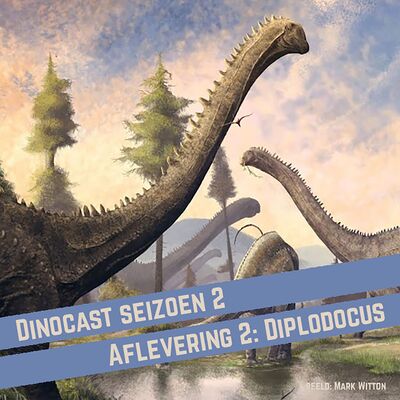 Diplodocus - gigantisch groot… maar hóe dan?!