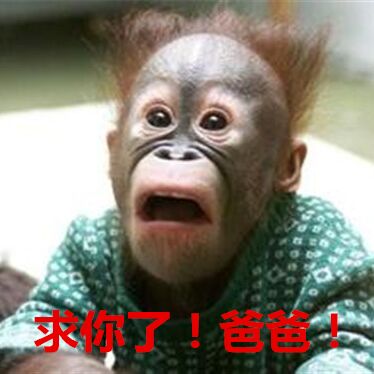 NO.49浮夸男女诊疗室——依赖症的病