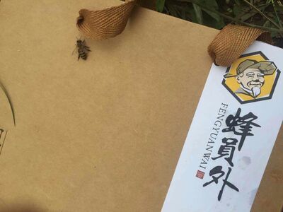 选用合适的蜂蜜治便秘