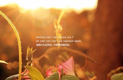 心若安暖，浅笑也嫣然